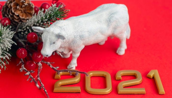 2021 год белого металлического быка: украшение, приметы, советы